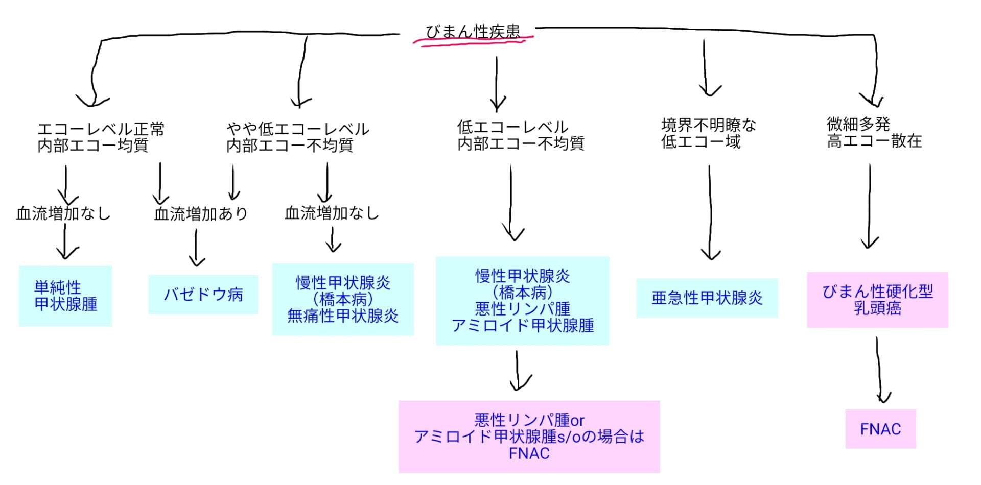 甲状腺に所見を認めたら・・？これって精査が必要？甲状腺エコーの基本・疾患と見るべきポイント | 検査技師もんたの勉強部屋